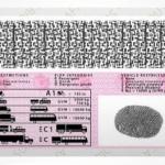 组2-2024-05-08T185214.956 (2)